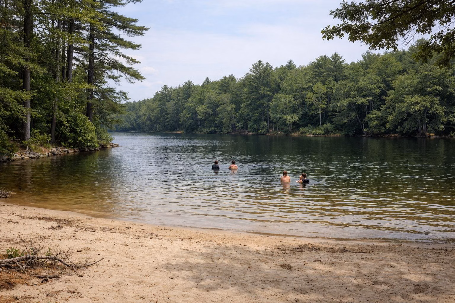 A small sandy beach on a forest-ringed swimming pond