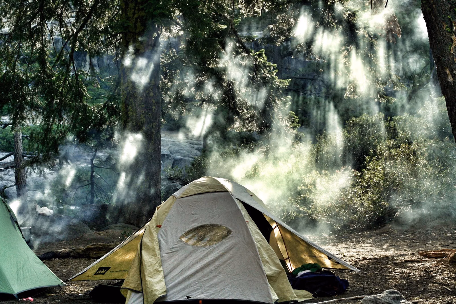 A dome tent at a wooded campsite with sunlight through the trees
