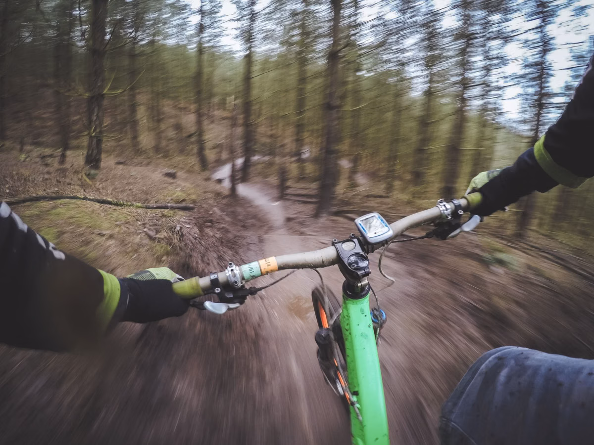 A rider's view over mountain bike handlebars on a forest trail