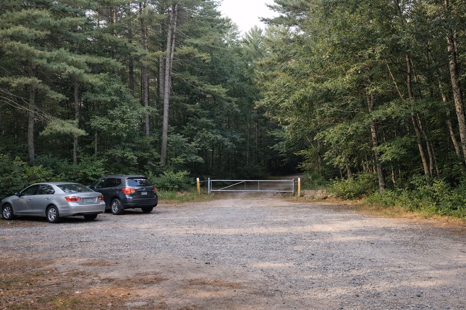 A small gravel trailhead lot at a pine forest edge with a closed gate
