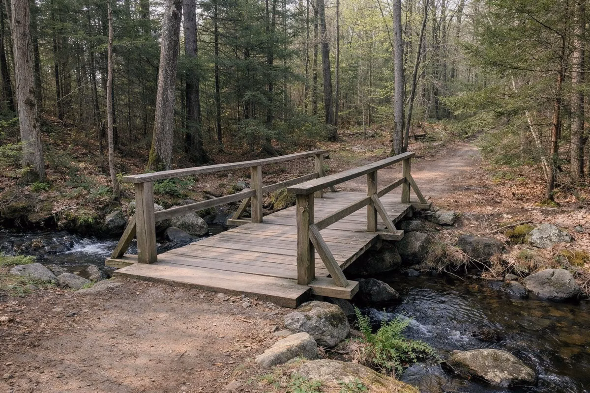 A simple plank footbridge over a small brook on a forest trail