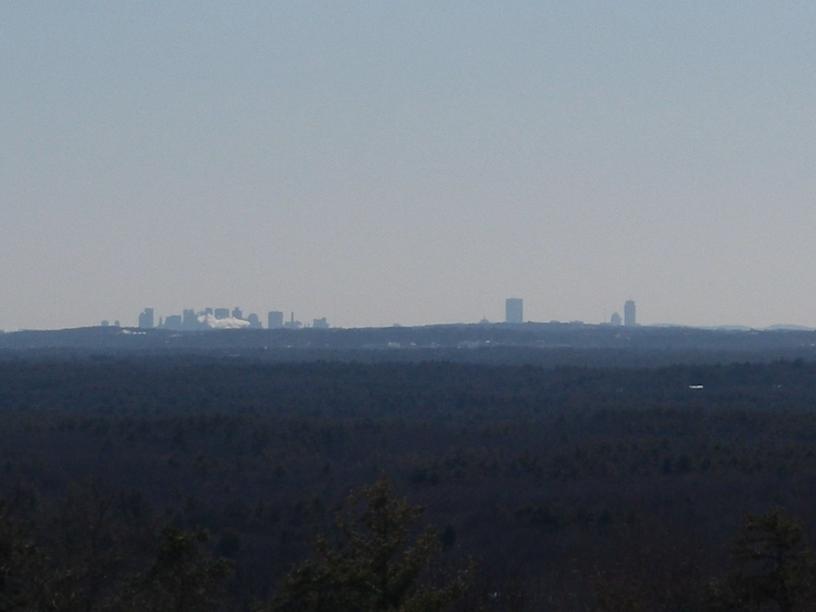 View from Holt Hill at Ward Reservation over forest to the Boston skyline