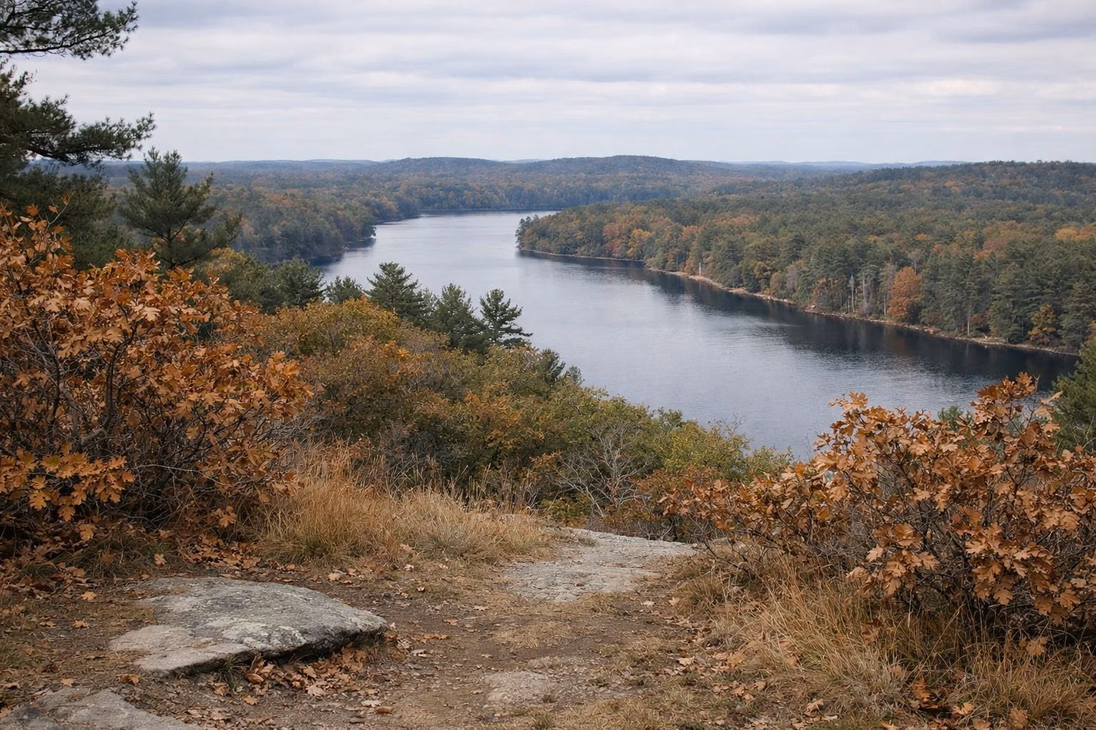 View from a grassy, scrub oak hilltop over a long wooded lake